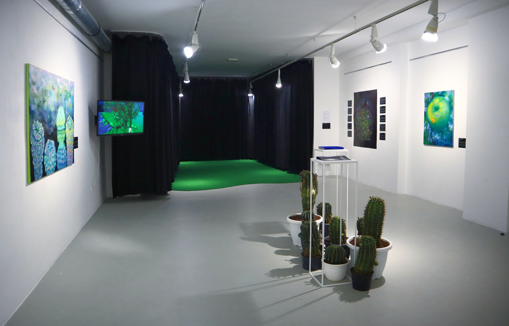 Marton_Dominika_K11_Escaping_the_Landscape_Enterior_1v2