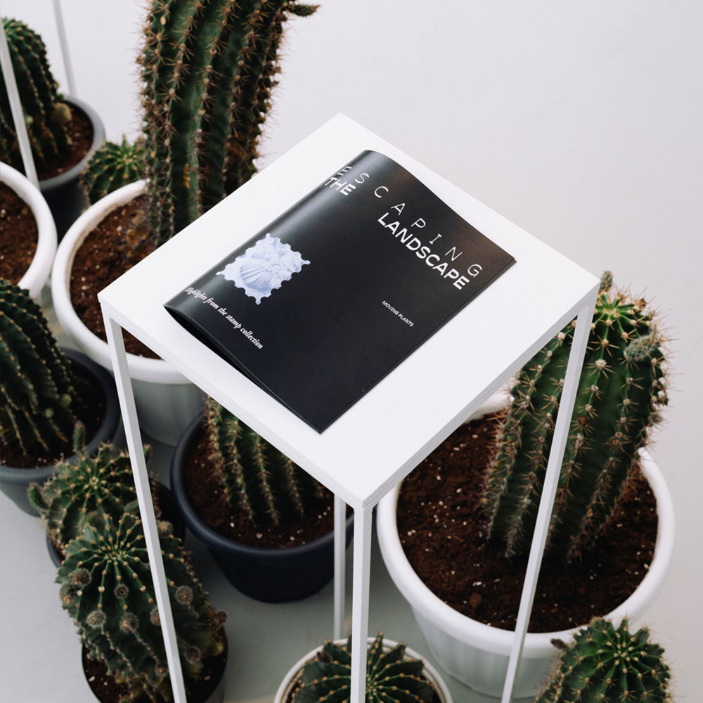 Marton_Dominika_K11_Escaping_the_Landscape_Enterior_7_square