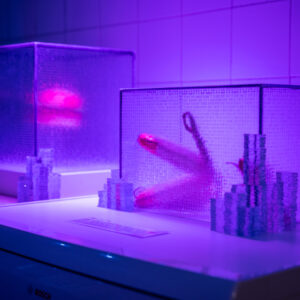 Dominika-Marton-The-museum-of-extinct-foods_MKE-kitchen-0072